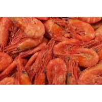 Northern Shrimp, w / m, + 70 pcs / kg wholesale