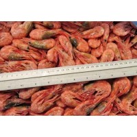 Northern Shrimp, w / m, + 90 pcs / kg wholesale