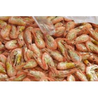 Humpy shrimp, cooked / frozen, 150-260 pcs / kg, large wholesale