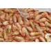 Humpy shrimp, cooked / frozen, 150-260 pcs / kg, large wholesale