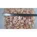 Prawns, peeled, tail, cooked and frozen, 51-60 shtkg, 2 x 5 kg gross