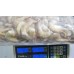 Royal shrimps, b / g, in the shell, 31-40 pcs / kg, 2 x 5 kg gross