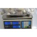 Tiger prawns, headless, shell-21-25 shtkg, 10 x 1 kg gross