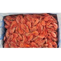 Northern Shrimp, w / m, 90-120 units / kg, wholesale