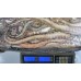 Giant squid, tentacles, 2-3 kg gross