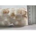 Shrimp baths, glaze. / m, 21-25 wholesale