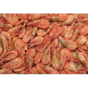 Northern Shrimp, w / m, 180+ pcs / kg, wholesale