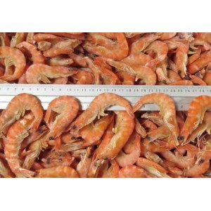 Royal shrimps, baths, 70-90 pcs / kg wholesale