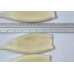 Tubes of squid, U10, bulk wholesale