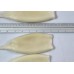 Tubes of squid, U10, bulk wholesale