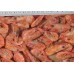 Northern Shrimp, w / m, 180+ pcs / kg wholesale