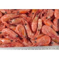 Northern Shrimp, w / m, 90-120 units / kg wholesale