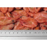 Northern Shrimp, w / m, 170-200 pcs / kg, wholesale