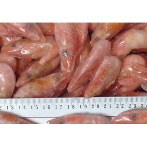 Shrimp cooked, 70+ pcs / kg wholesale