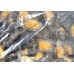 Mussels on a single leaf, 60-80 pcs / kg, the gross premium
