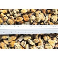 Mussels, 300-500 pcs / kg, 10 kg x 1 wholesale
