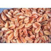 Northern Shrimp, w / m, premium, 90-120 units / kg wholesale