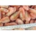 Northern Shrimp, w / m, premium, 90-120 units / kg wholesale