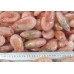 Northern Shrimp, w / m, 70-90 pcs / kg wholesale