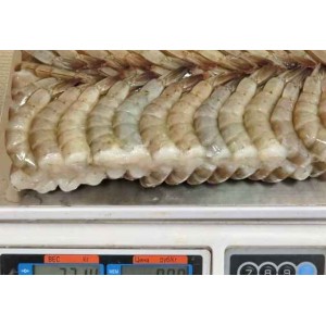 Shrimp baths, m-ice, 21-25 pcs / kg, 6 x 1.8 kg gross