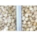 Sea scallop, 60-80 pcs / kg, 20 x 0.5 kg gross