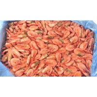 Northern Shrimp, w / m, gross 200 +