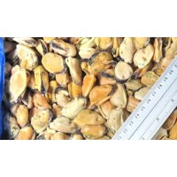 Mussels, 200-300 pcs / kg, meat wholesale
