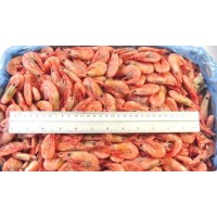 Northern Shrimp, w / m, 120-150 pcs / kg wholesale