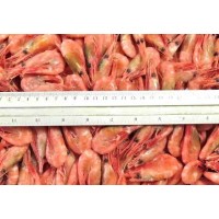 Northern Shrimp, w / m, 150-180 pcs / kg wholesale