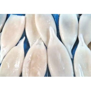 Tubes of squid, U10 wholesale