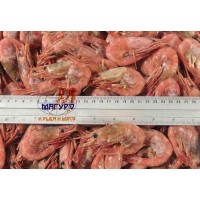 Shrimp / O, H / B, IQF, 40/60, 5kg / box. wholesale