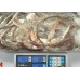 The tentacles of the giant squid, 1-2 kg gross