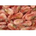 Shrimp cooked, premium, 90-120 units / kg wholesale