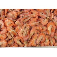 Northern Shrimp, w / m, 100-120 pcs / kg wholesale