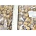 Mussels, 200-300 pcs / kg, 4 x 1 kg gross