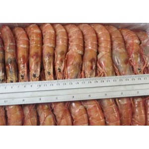 Argentinian Prawns, in shell, L2 - (21-30) pcs / kg wholesale