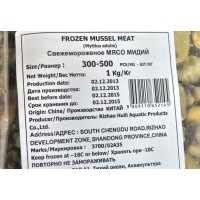 Mussels, 300-500 pcs / kg, 10x1 kg gross