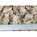 Octopussy, young, 40-60 pcs / kg, bulk wholesale