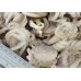 Octopussy, young, 40-60 pcs / kg, bulk wholesale