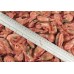 Northern Shrimp, w / m, 80-100 units / kg wholesale