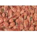 Northern Shrimp, w / m, 80-100 units / kg wholesale