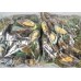 Mussels on a single leaf, S, gross premium