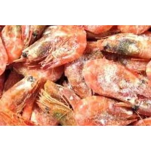 Shrimp, cooked / frozen, 60-80 pcs / kg, without glaze wholesale