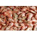 Shrimp without glaze / m, 90-120 units / kg, wholesale