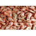 Shrimp without glaze / m, 90-120 units / kg, wholesale