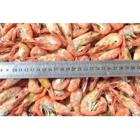 Shrimp, cooked / frozen, 80-150 units / kg, large wholesale