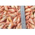 Shrimp, cooked / frozen, 80-150 units / kg, large wholesale