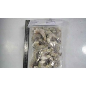 Tiger prawns, headless, in shell, wholesale 16-20 shtkg