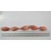 Shrimp, cooked / frozen, 70-90 pcs / kg, the gross premium