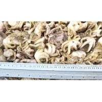 Young octopus 60+ pcs / kg wholesale